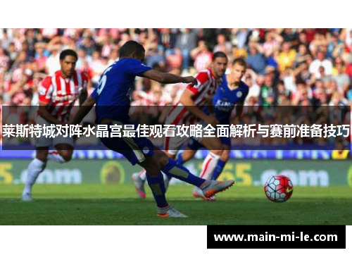 莱斯特城对阵水晶宫最佳观看攻略全面解析与赛前准备技巧
