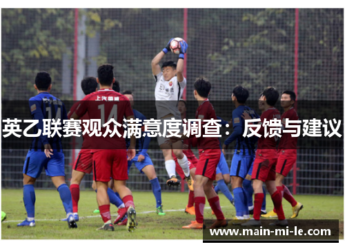 英乙联赛观众满意度调查:反馈与建议 英乙联赛观众满意度调查:反馈与建议