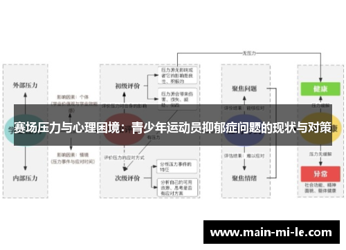 赛场压力与心理困境:青少年运动员抑郁症问题的现状与对策 赛场压力与心理困境:青少年运动员抑郁症问题的现状与对策