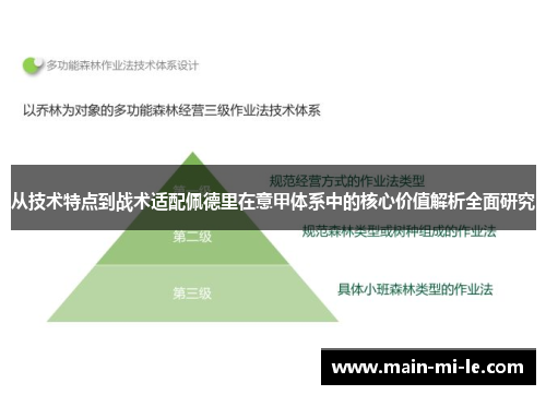 从技术特点到战术适配佩德里在意甲体系中的核心价值解析全面研究