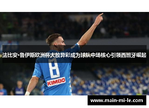 法比安·鲁伊斯欧洲杯大放异彩成为球队中场核心引领西班牙崛起