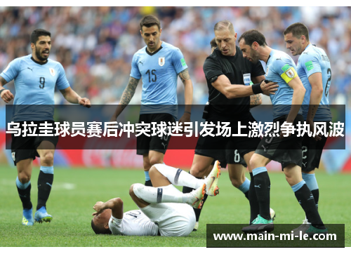 乌拉圭球员赛后冲突球迷引发场上激烈争执风波 乌拉圭球员赛后冲突球迷引发场上激烈争执风波
